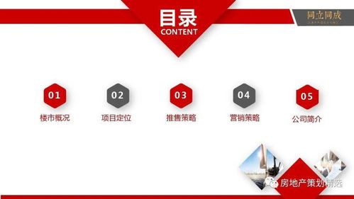 房地產(chǎn)營(yíng)銷(xiāo)策劃全流程提案與信息咨詢(xún)服務(wù)